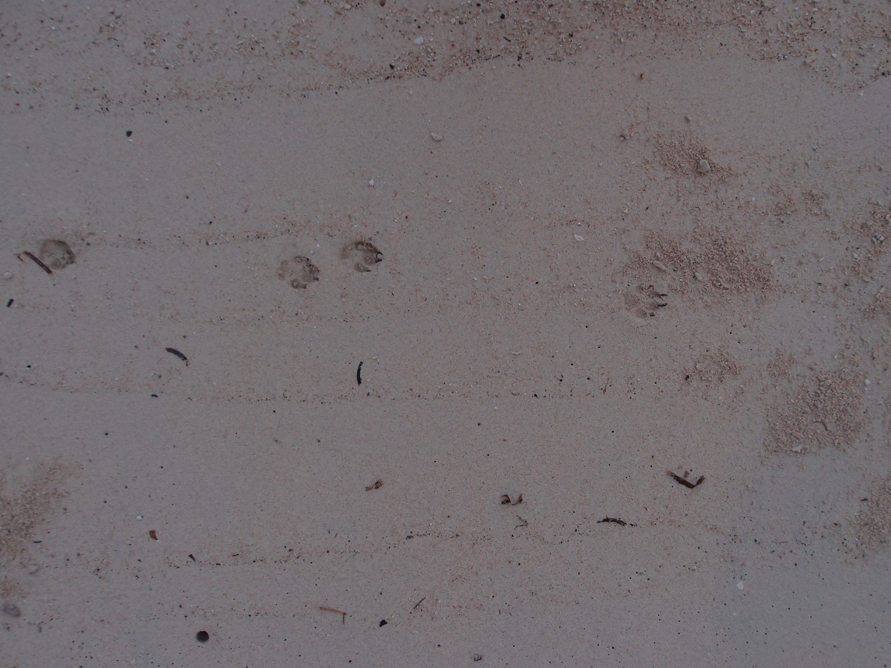 2015-10-04 Sand Komposition 3 (Foto)